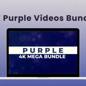 4K Purple Videos Bundle | Extended Commercial License