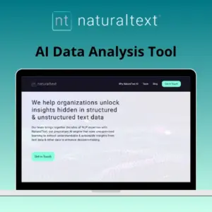 NaturalText - AI Data Analysis Tool | Annual Access