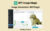 GPTImage Magic – Image Generation WP Plugin | Lifetime Access